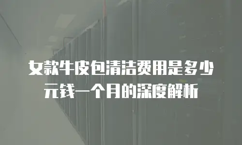 女款牛皮包清洁费用是多少元钱一个月的深度解析