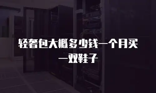 轻奢包大概多少钱一个月买一双鞋子