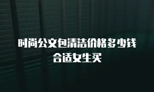 时尚公文包清洁价格多少钱合适女生买