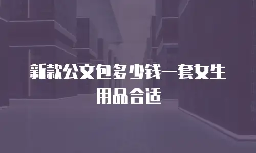 新款公文包多少钱一套女生用品合适