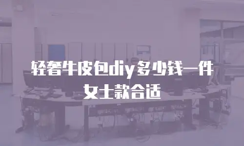 轻奢牛皮包diy多少钱一件女士款合适