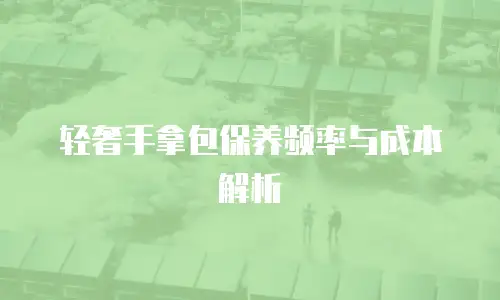 轻奢手拿包保养频率与成本解析