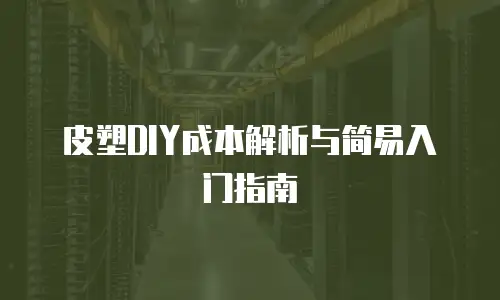 皮塑DIY成本解析与简易入门指南
