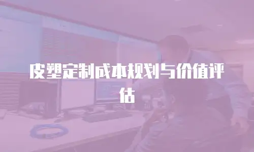 皮塑定制成本规划与价值评估
