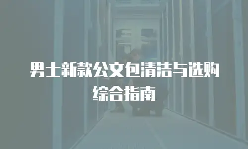 男士新款公文包清洁与选购综合指南