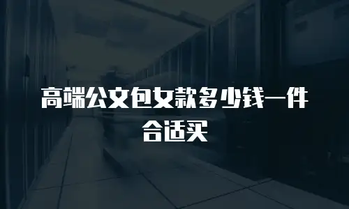 高端公文包女款多少钱一件合适买