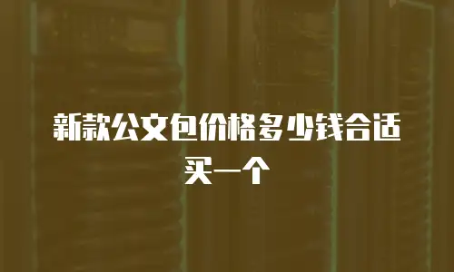 新款公文包价格多少钱合适买一个