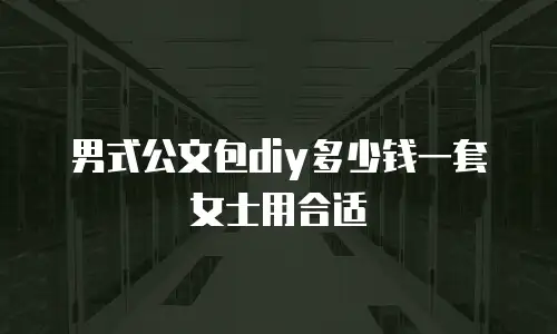 男式公文包diy多少钱一套女士用合适