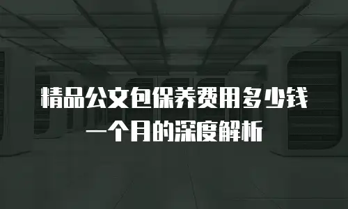 精品公文包保养费用多少钱一个月的深度解析