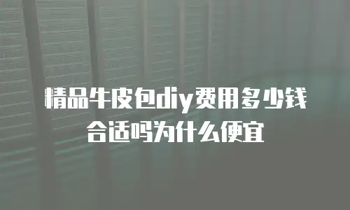 精品牛皮包diy费用多少钱合适吗为什么便宜