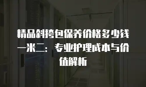 精品斜挎包保养价格多少钱一米二：专业护理成本与价值解析