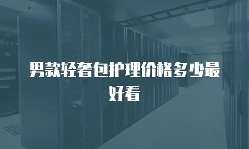 男款轻奢包护理价格多少最好看