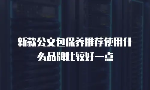 新款公文包保养推荐使用什么品牌比较好一点