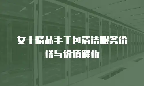 女士精品手工包清洁服务价格与价值解析