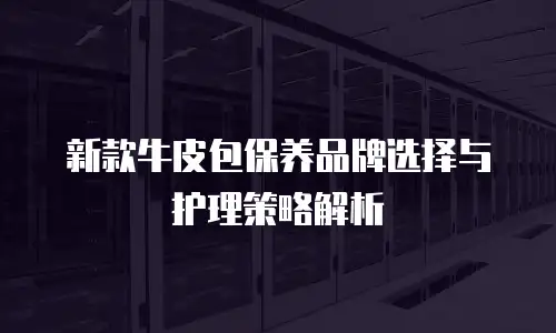 新款牛皮包保养品牌选择与护理策略解析