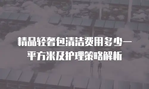 精品轻奢包清洁费用多少一平方米及护理策略解析