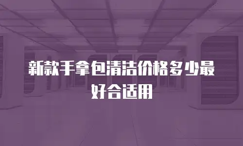 新款手拿包清洁价格多少最好合适用