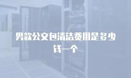 男款公文包清洁费用是多少钱一个