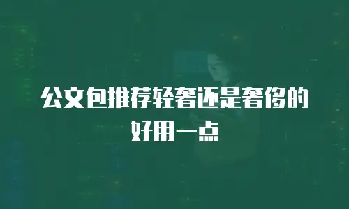 公文包推荐轻奢还是奢侈的好用一点