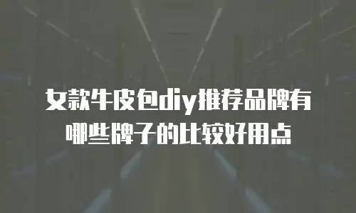 女款牛皮包diy推荐品牌有哪些牌子的比较好用点