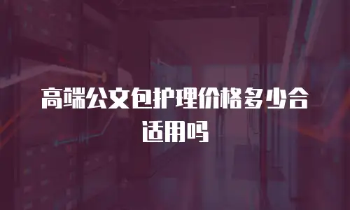 高端公文包护理价格多少合适用吗