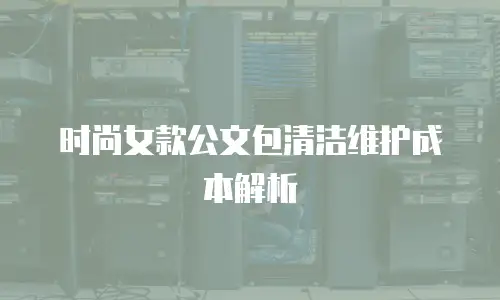 时尚女款公文包清洁维护成本解析