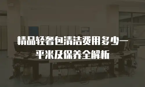 精品轻奢包清洁费用多少一平米及保养全解析