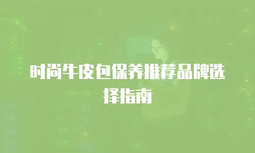 时尚牛皮包保养推荐品牌选择指南