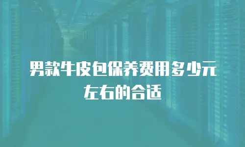 男款牛皮包保养费用多少元左右的合适