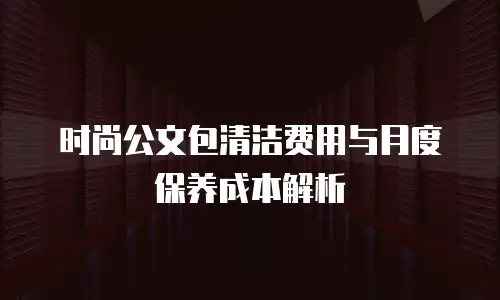 时尚公文包清洁费用与月度保养成本解析