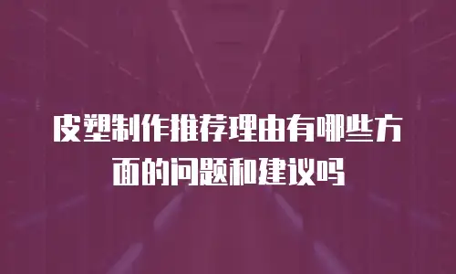 皮塑制作推荐理由有哪些方面的问题和建议吗