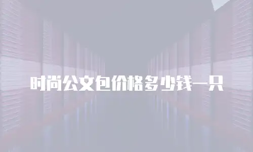 时尚公文包价格多少钱一只
