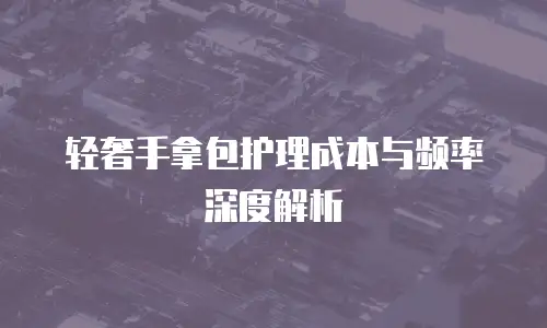 轻奢手拿包护理成本与频率深度解析