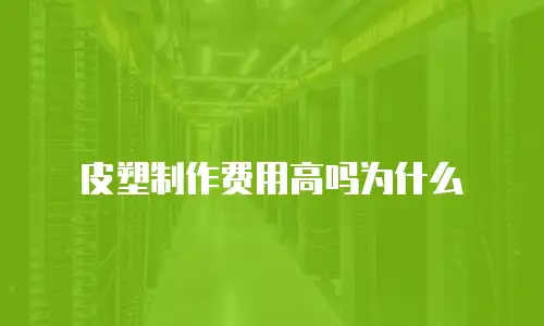皮塑制作费用高吗为什么