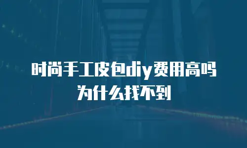 时尚手工皮包diy费用高吗为什么找不到