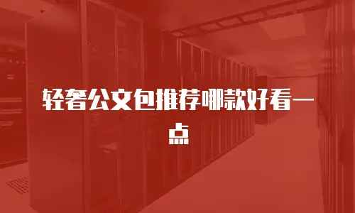 轻奢公文包推荐哪款好看一点