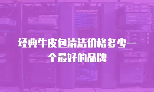 经典牛皮包清洁价格多少一个最好的品牌
