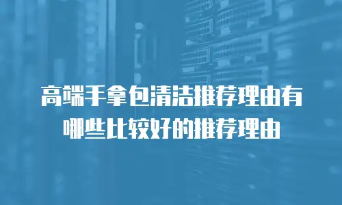 高端手拿包清洁推荐理由有哪些比较好的推荐理由