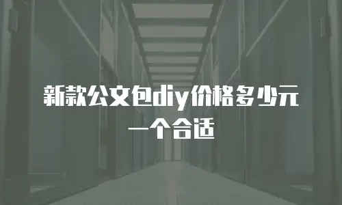 新款公文包diy价格多少元一个合适