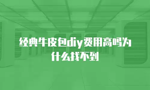 经典牛皮包diy费用高吗为什么找不到