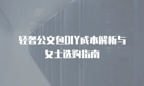 轻奢公文包DIY成本解析与女士选购指南