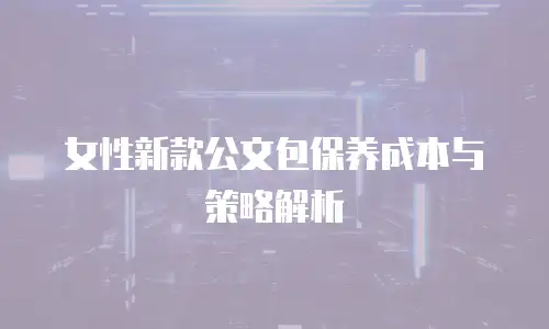 女性新款公文包保养成本与策略解析