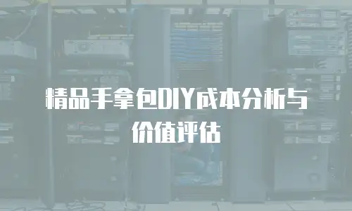 精品手拿包DIY成本分析与价值评估