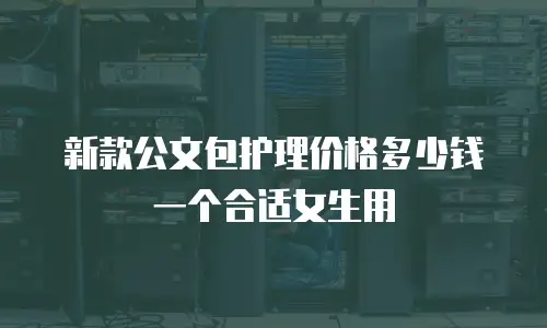 新款公文包护理价格多少钱一个合适女生用