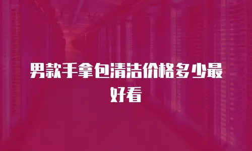 男款手拿包清洁价格多少最好看