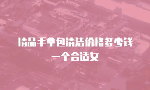 精品手拿包清洁价格多少钱一个合适女