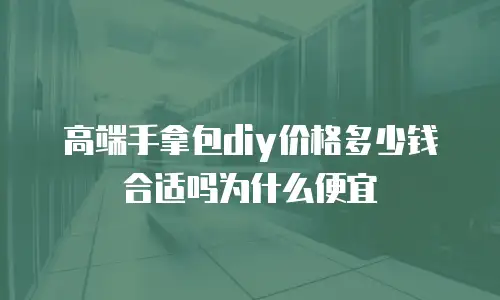 高端手拿包diy价格多少钱合适吗为什么便宜