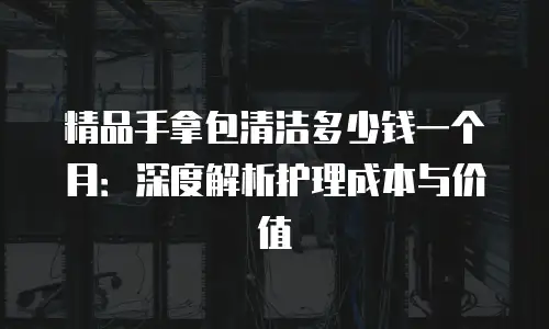 精品手拿包清洁多少钱一个月：深度解析护理成本与价值