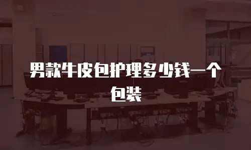 男款牛皮包护理多少钱一个包装