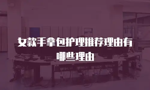 女款手拿包护理推荐理由有哪些理由